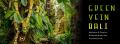 Green Vein Bali Kratom, Best, Highest Quality