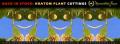 Kratom Live Plant Cuttings Back In Stock