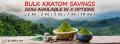 Save Money On Kratom – Buy In Bulk / Wholesale Sizes