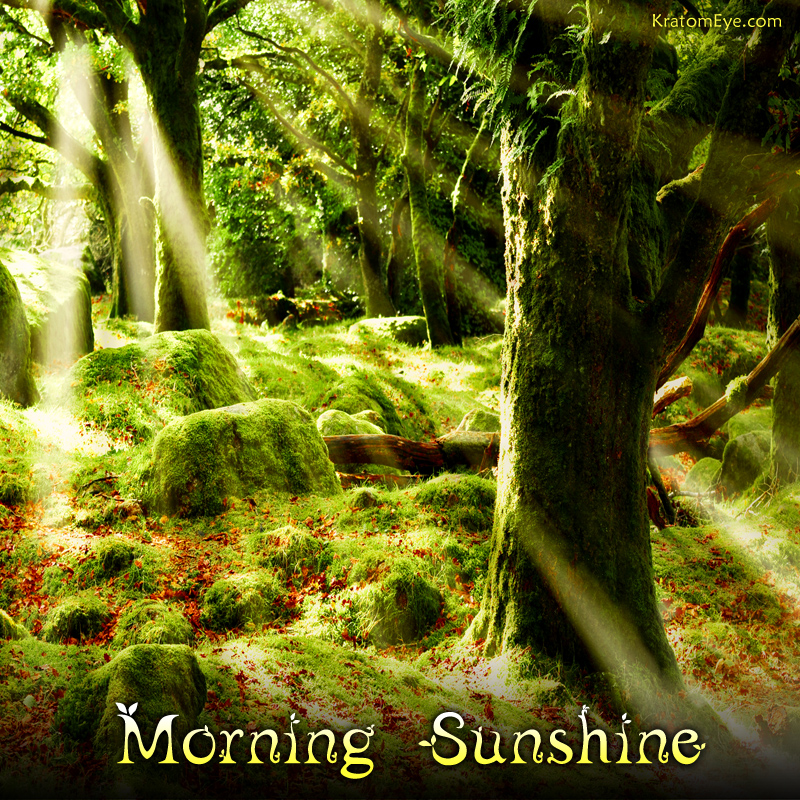 Morning Sunshine Relaxing & Stimulating Kratom Aromas