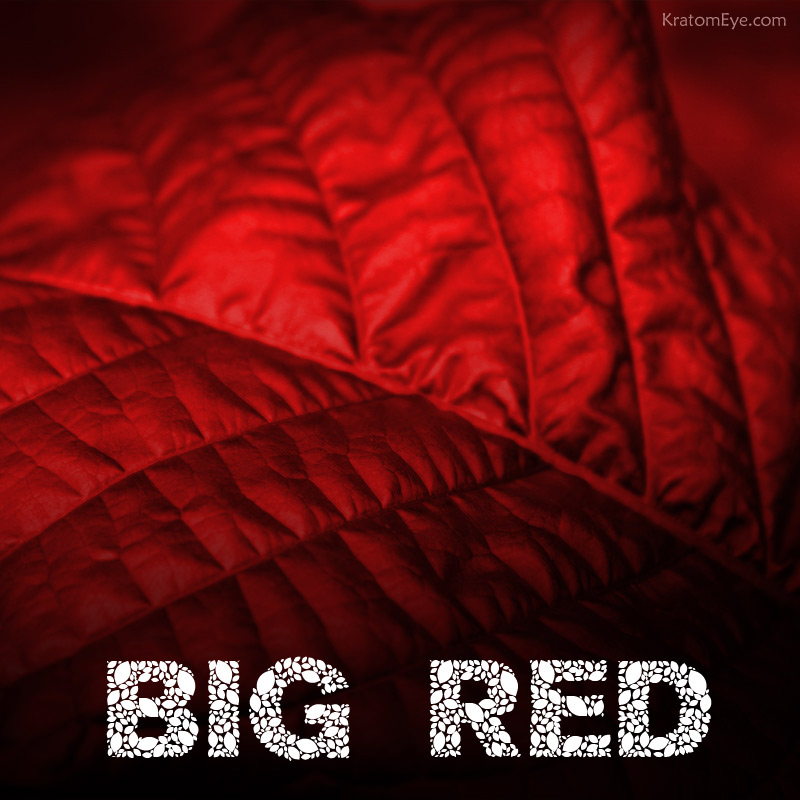 BIG Red - The Best Red Vein Kratom Blend