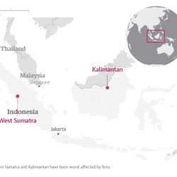 indonesian forest fires