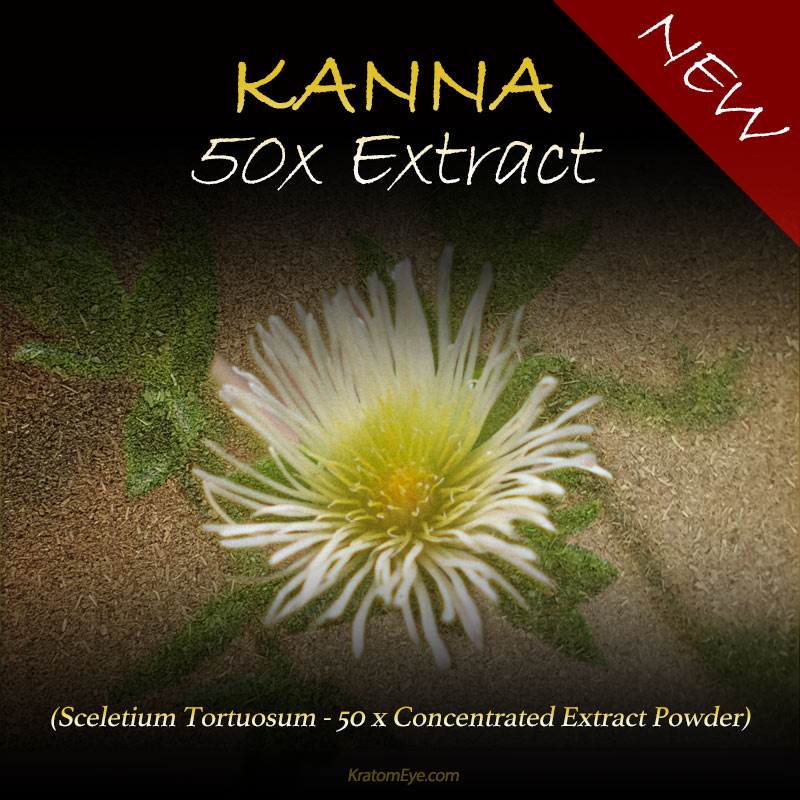Kanna 50x Extract - Highly Concentrated - Sceletium Tortuosum - Highest Grade Natural Extraction Powder