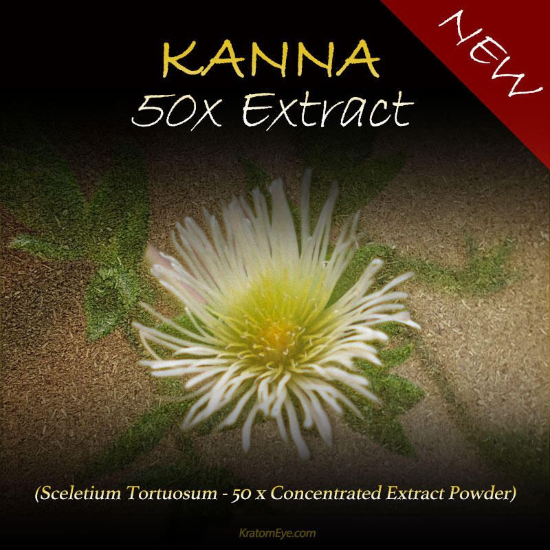 Kanna Extract - 50 x Concentration (Sceletium Tortuosum)