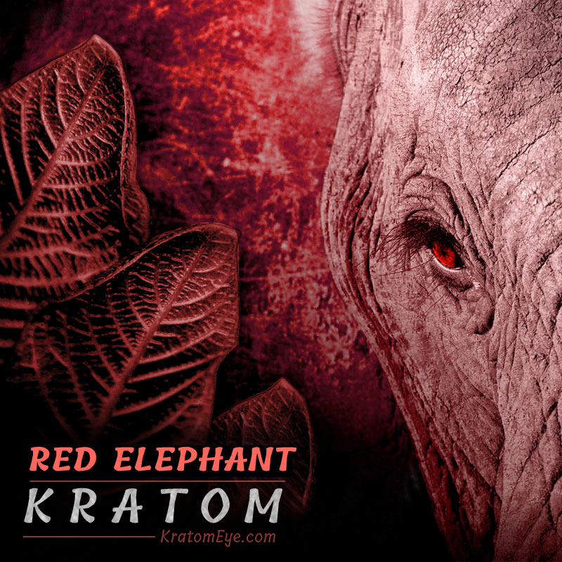 Red Elephant Kratom