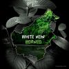 White Vein Borneo Kratom - Highest Quality