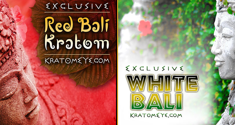 Exclusive RED VEIN BALI & WHITE VEIN BALI Strains