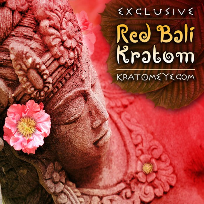 Exclusive Red Vein Bali Kratom, Superior Powder