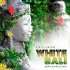 Exclusive White Vein Bali Kratom, Best, Highest Quality