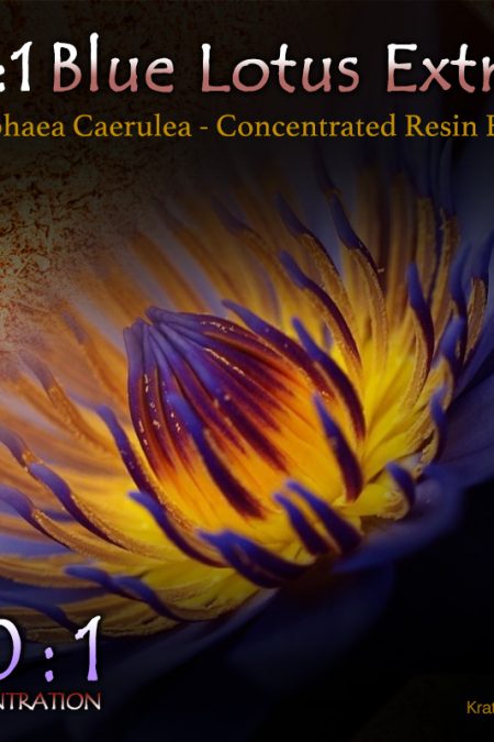 50:1 Blue Lotus Extract (Super Concentrated) - Nymphaea Caerulea - Kratom Alternatives