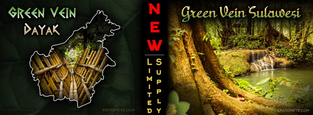 NEW Kratom Strains: Green Vein Dayak & Green Vein Sulawesi