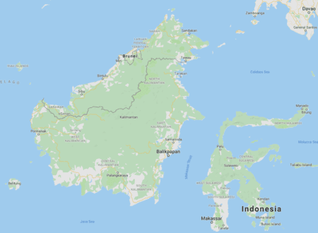 Dayak Kratom, Borneo, Special Strains