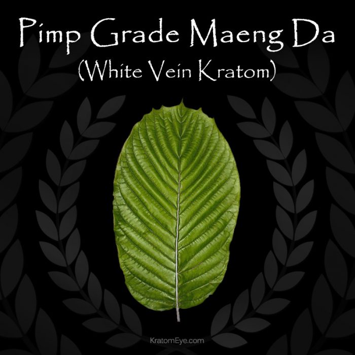 Maeng Da Pimp Grade White Vein Kratom - Highest Quality