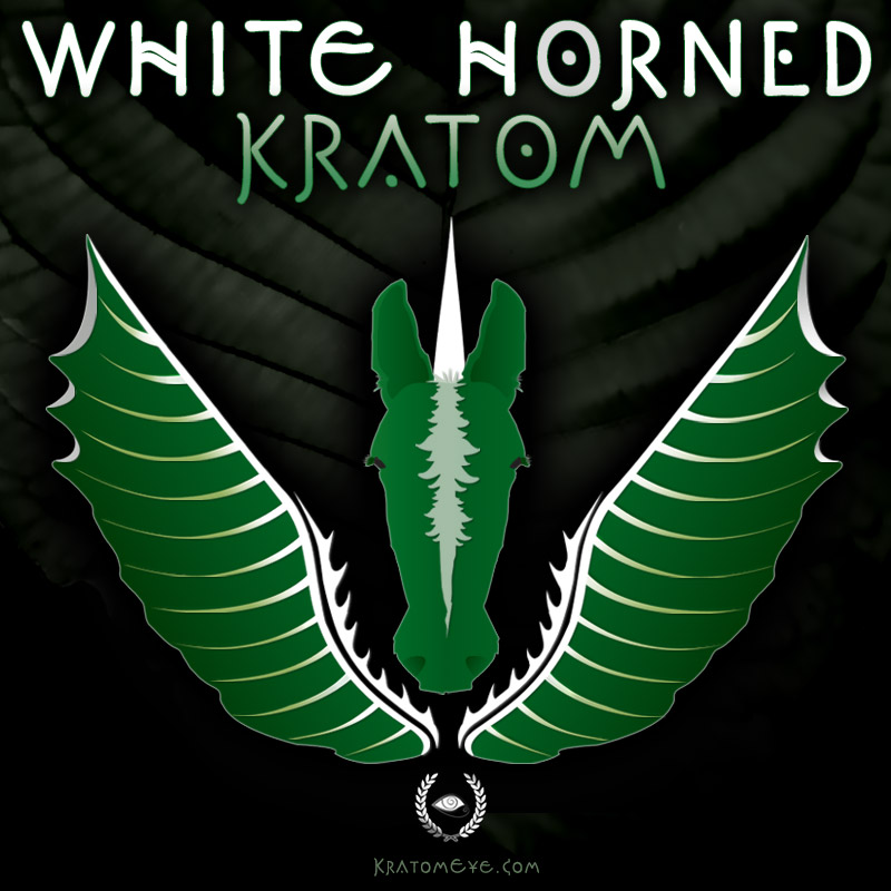 White Horned Kratom - Highest Thai Maeng Da Grade!