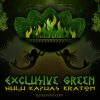 Exclusive Green Hulu Kapuas