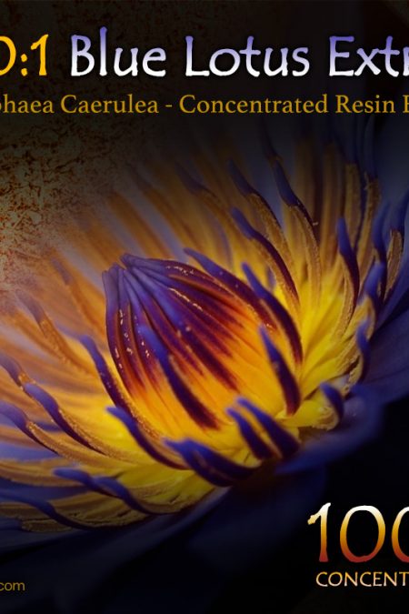 100:1 Blue Lotus Extract (Super Concentrated) - Nymphaea Caerulea - Kratom Substitutes