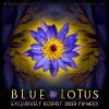 Blue Lotus Dried Flowers - Nymphaea Caerulea