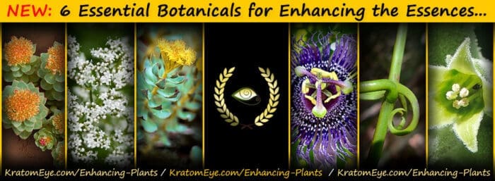 6-New-Alts-KratomEye-Home-Page-2021-Slider-700x257.jpg (700×257)