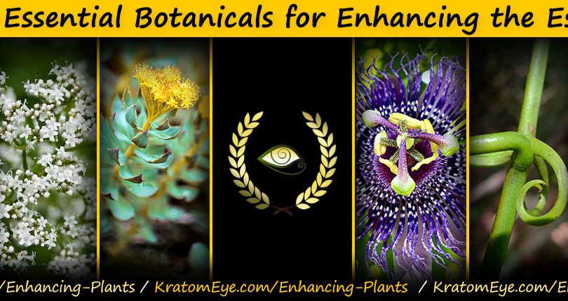 6 Essential Botanicals for Enhancing the Essences...