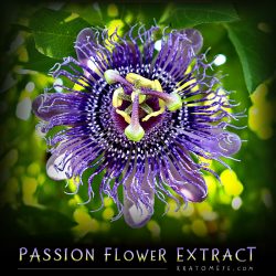 Passion Flower Extract (20:1 Concentration) - Passiflora Incarnata