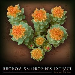 Rhodiola Rosea Extract (3% Salidrosides)