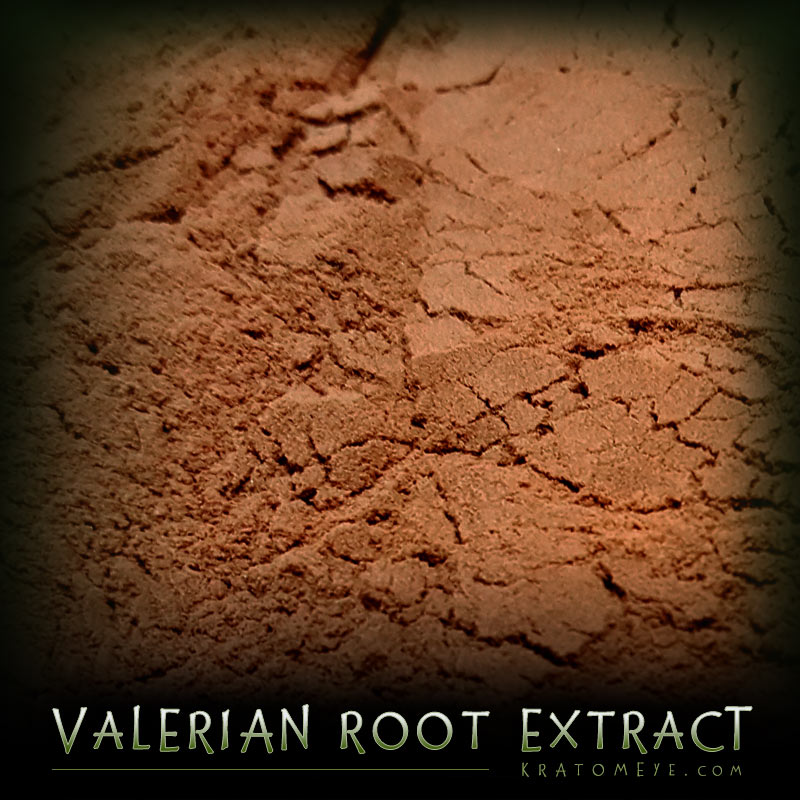 Valerian Root Extract