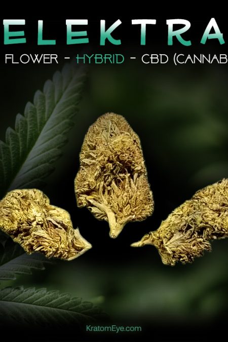 ELEKTRA CBD Sativa-Dominant Hybrid Hemp Flower