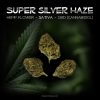 Super Silver Haze - Hemp Flower - Sativa - CBD (Cannabidiol)