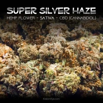 SUPER SILVER HAZE CBD Sativa Hemp Flower