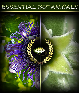 Ehancing Herbs & Simbiotic Plants