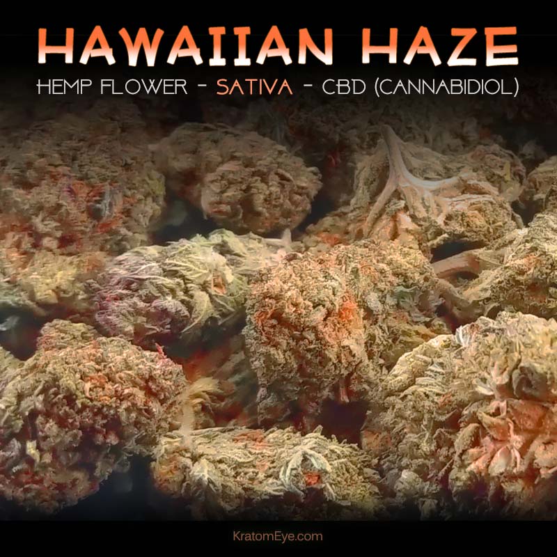 HAWAIIAN HAZE CBD Sativa Hemp Flower