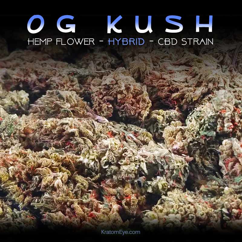 OG KUSH - Hybrid Hemp Flower CBD Strain