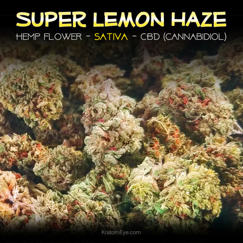 SUPER LEMON HAZE CBD Sativa Hemp Flower