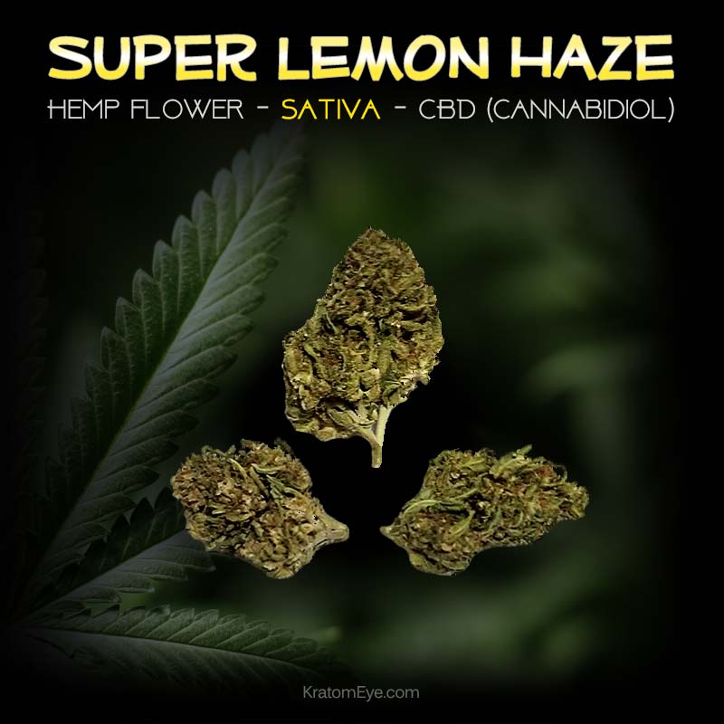 SUPER LEMON HAZE CBD Sativa Hemp Flower