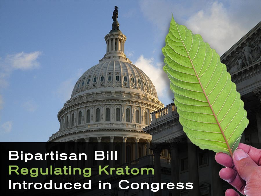 2022 Bipartisan Bill Regulating Kratom Introduced in Congress
