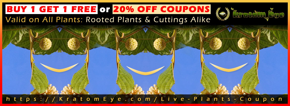 Buy 1 Get 1 Free Live Kratom Plants Coupon