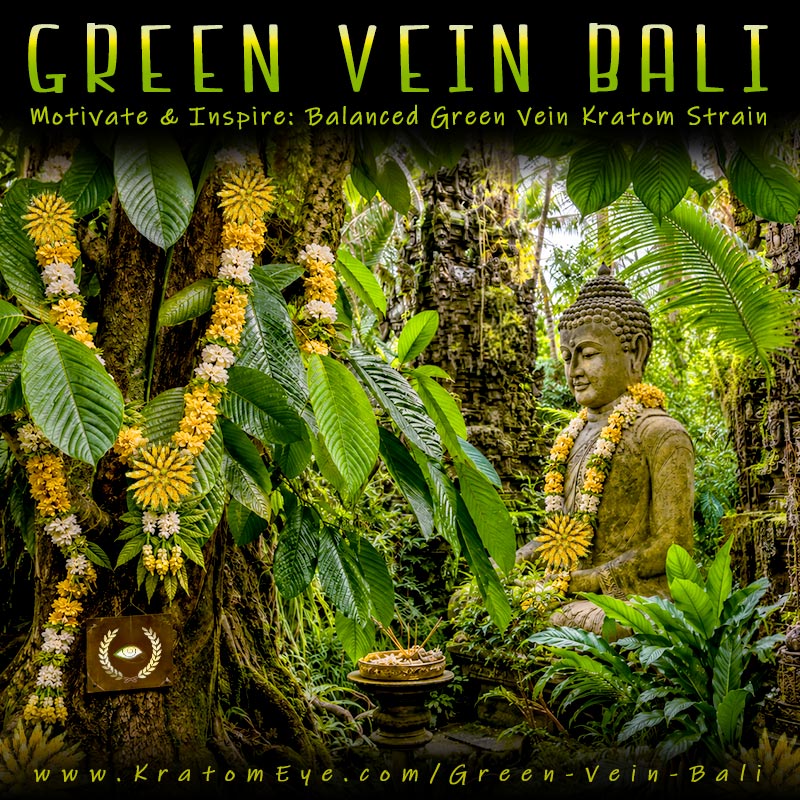 Green Vein Bali Kratom, Best, Highest Quality